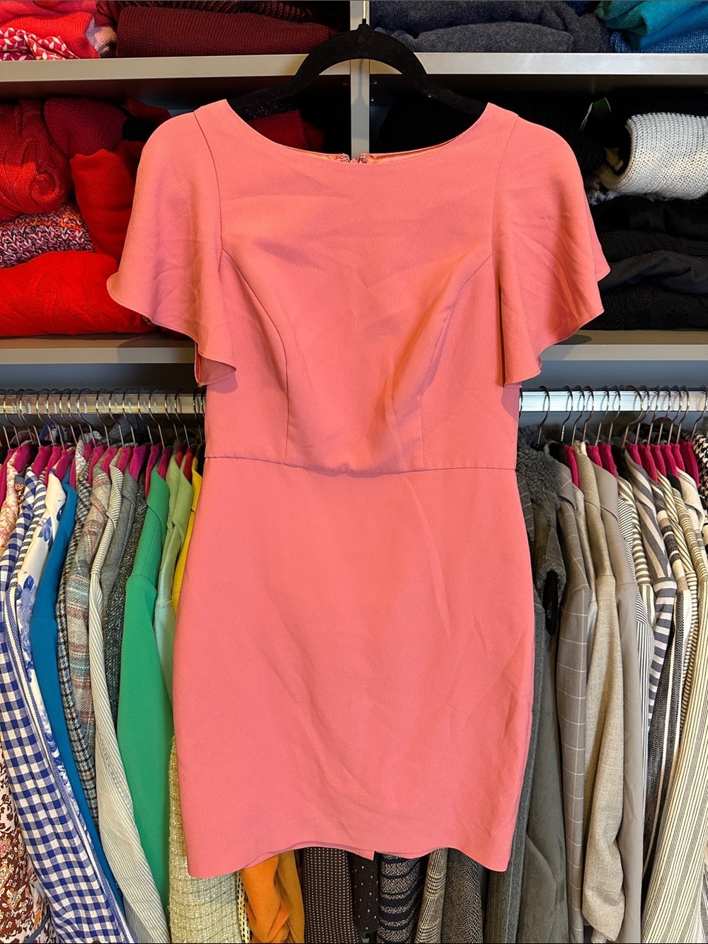 WHBM pink short sleeve lined back zipper closure dress size 4P